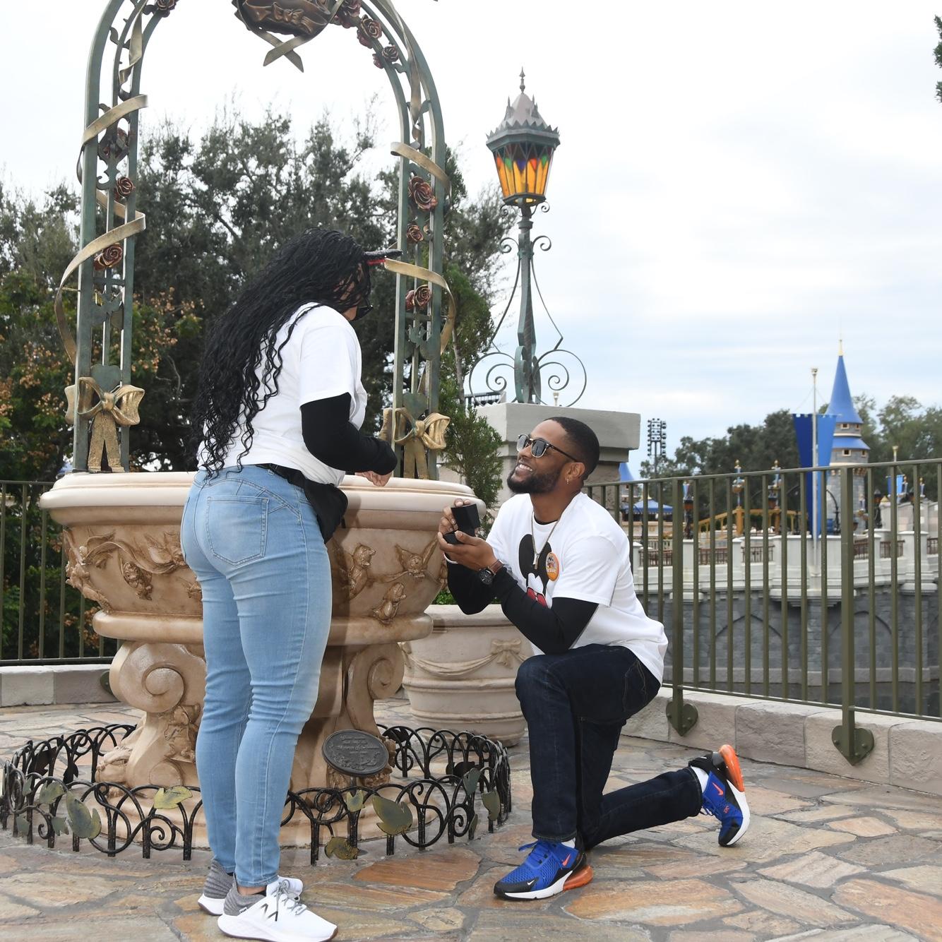 Disney proposal