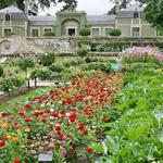 Princes' Vegetable Garden