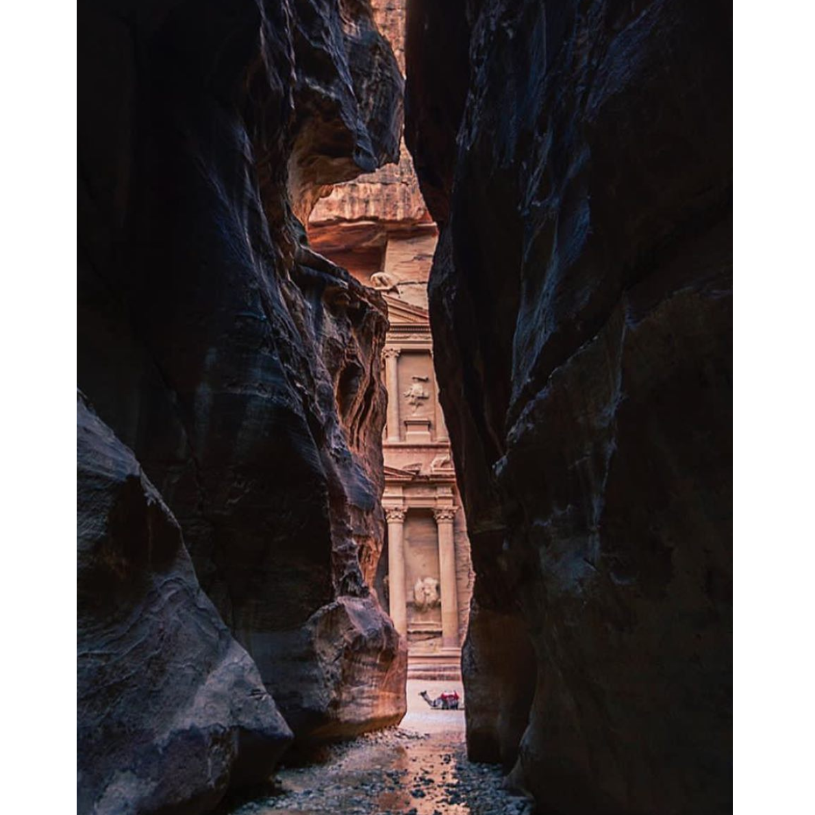 Petra is accessed via a narrow canyon called Al Siq, it contains tombs and temples carved into pink sandstone cliffs, earning its nickname, the "Rose City."