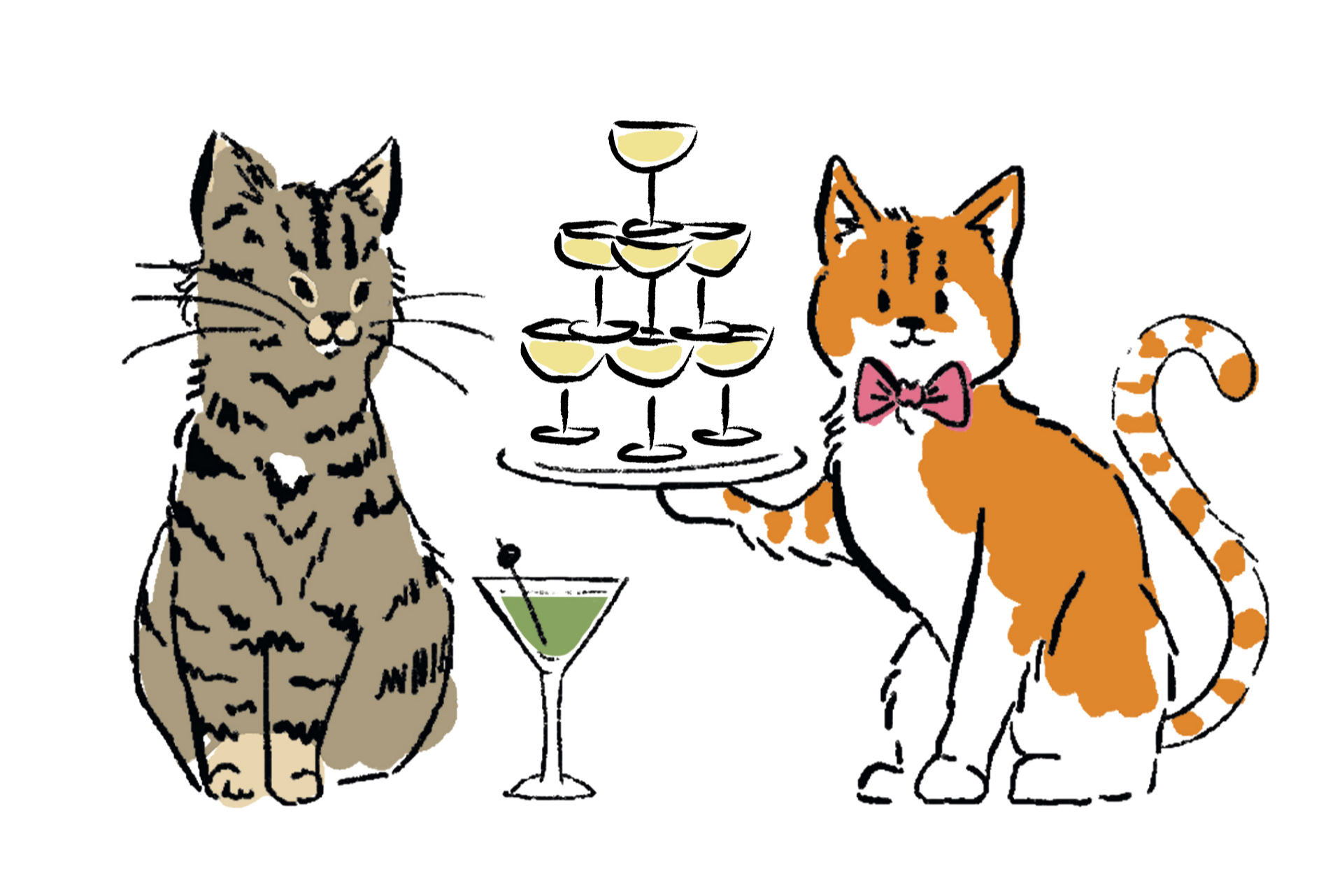 The Wedding Website of Katy Bilek and Cory Antoncic