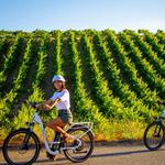 Temecula Wine Country E-Bikes