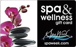 The Spa at Four Seasons Hotel - Houston, Texas Gift Card