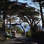 17 Mile Drive
