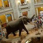 Smithsonian National Museum of Natural History