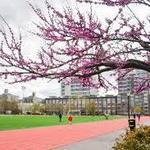 McCarren Park