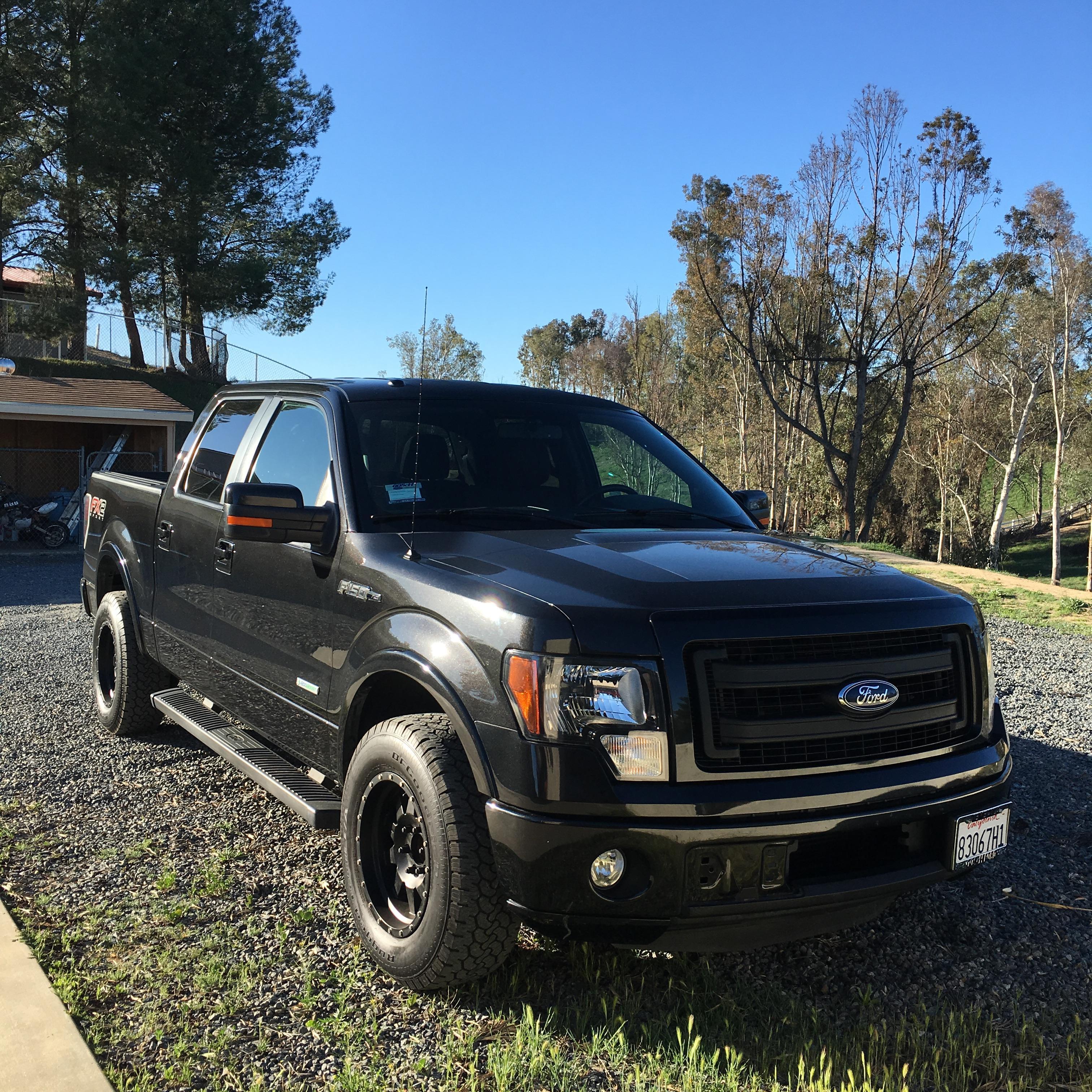 Hank joined the family, too!