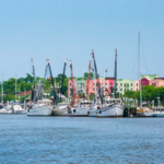 Amelia River Cruises & Charters