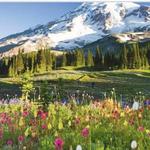 Mount Rainier National Park