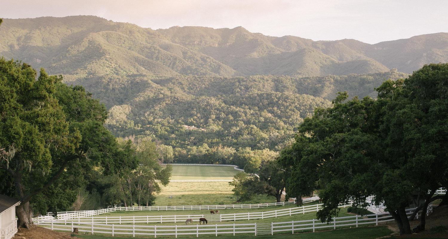 The Wedding Website of Jenny Harris and Richard Harris