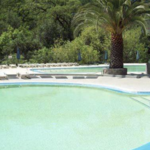 Morton's Warm Springs