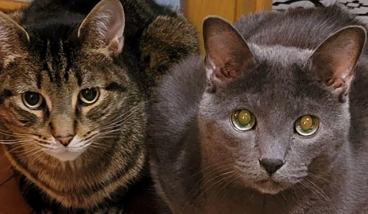 Hero Slideshow Image 4