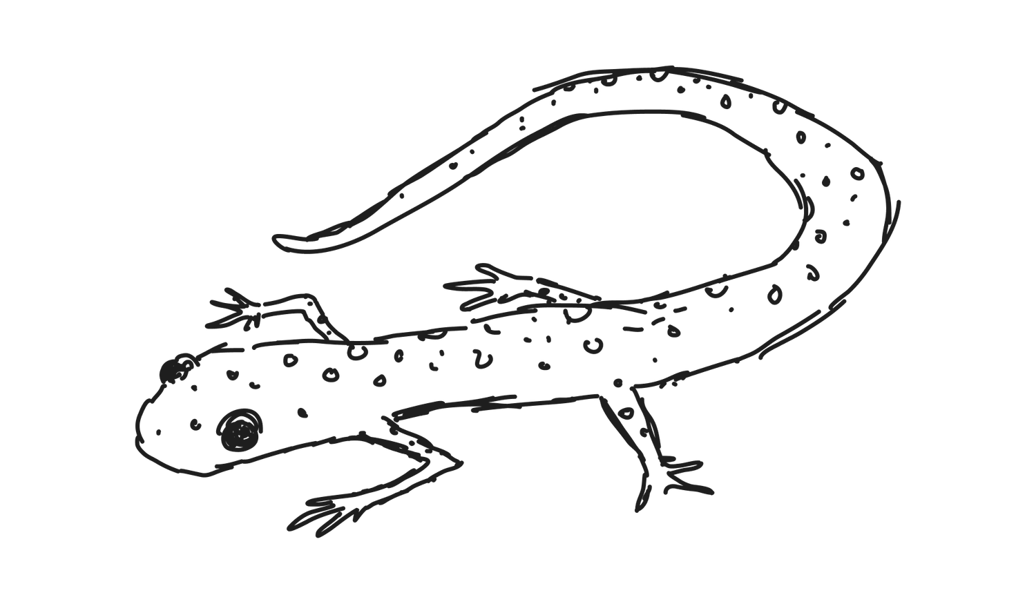 Footer image