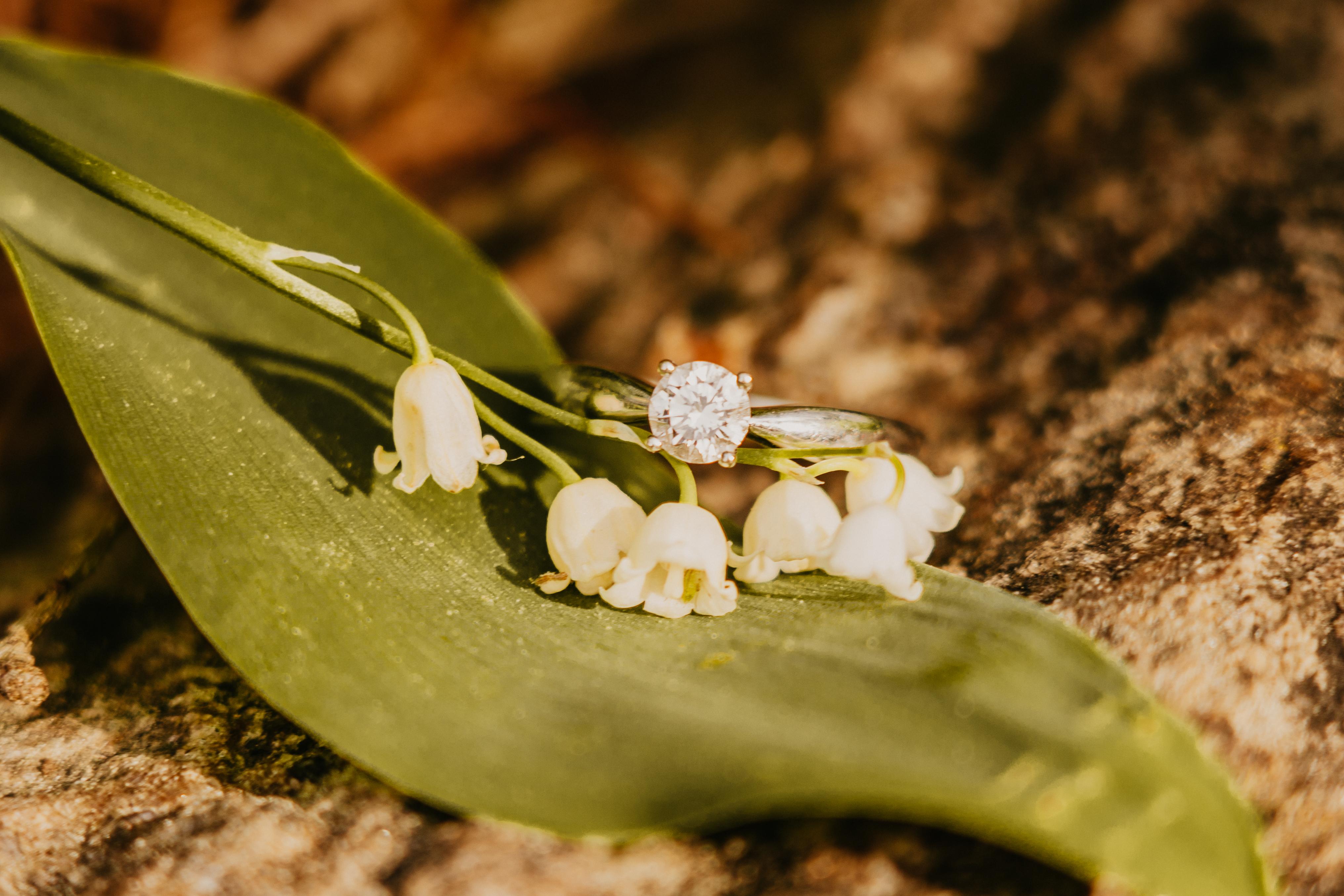 The Wedding Website of Alejandra Gutierrez and Layne Clark