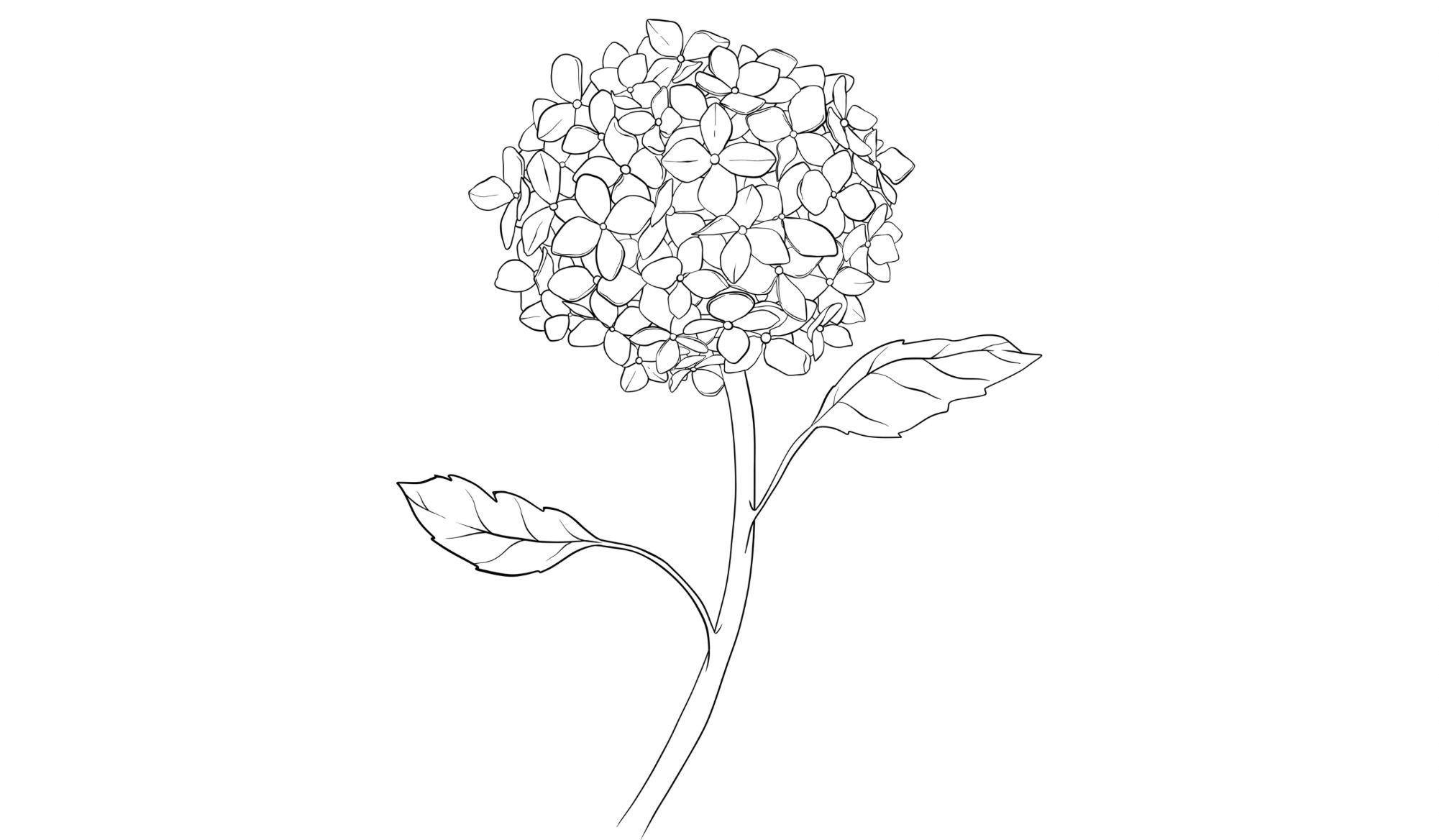 The Wedding Website of Gabrielle Diverio and Craig Kochakian