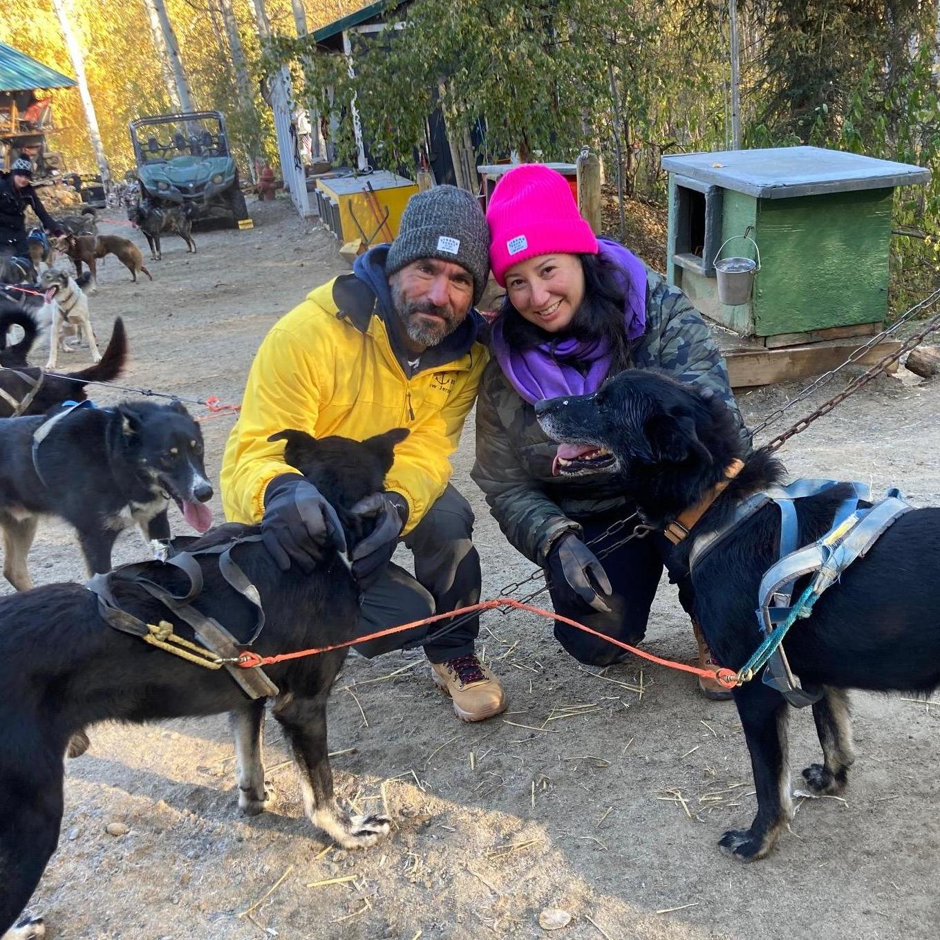 Dog sledding during training season in Alaska