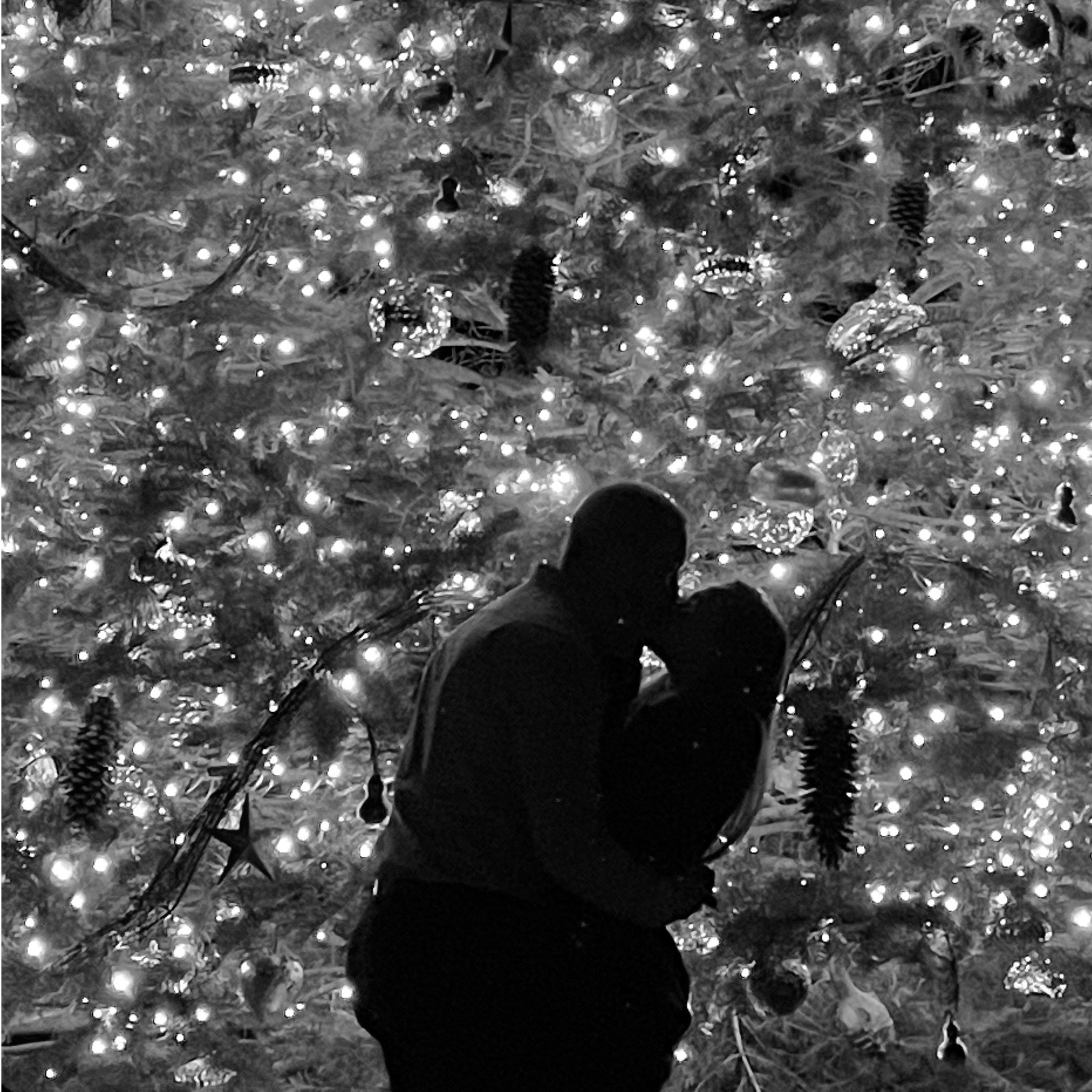 Proposal at Longwood Gardens