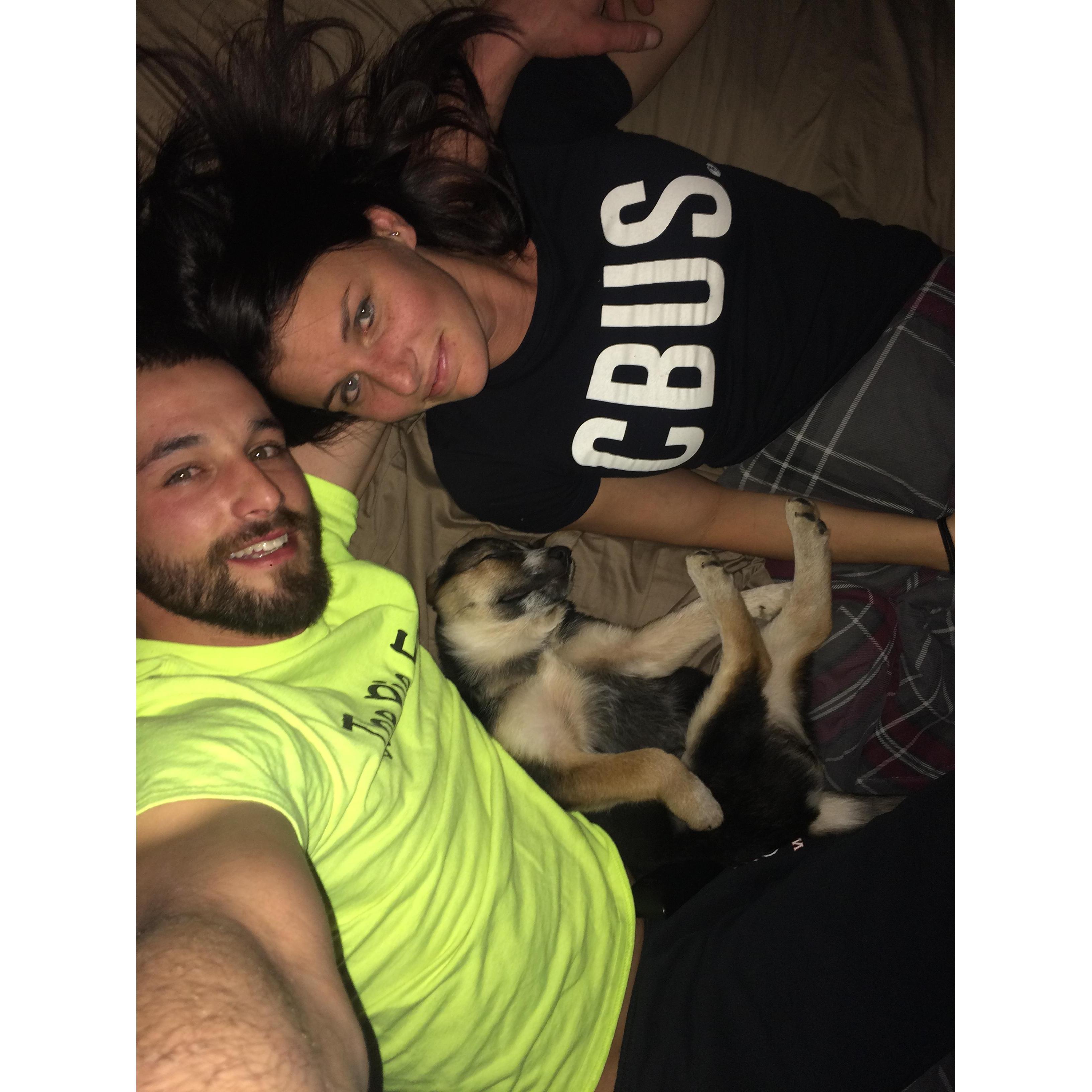 Sadie's first night with us