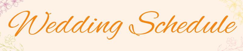 The Wedding Website of Holly Larsen and Damian Dauphin