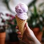 The Parlour Gelato + Coffee