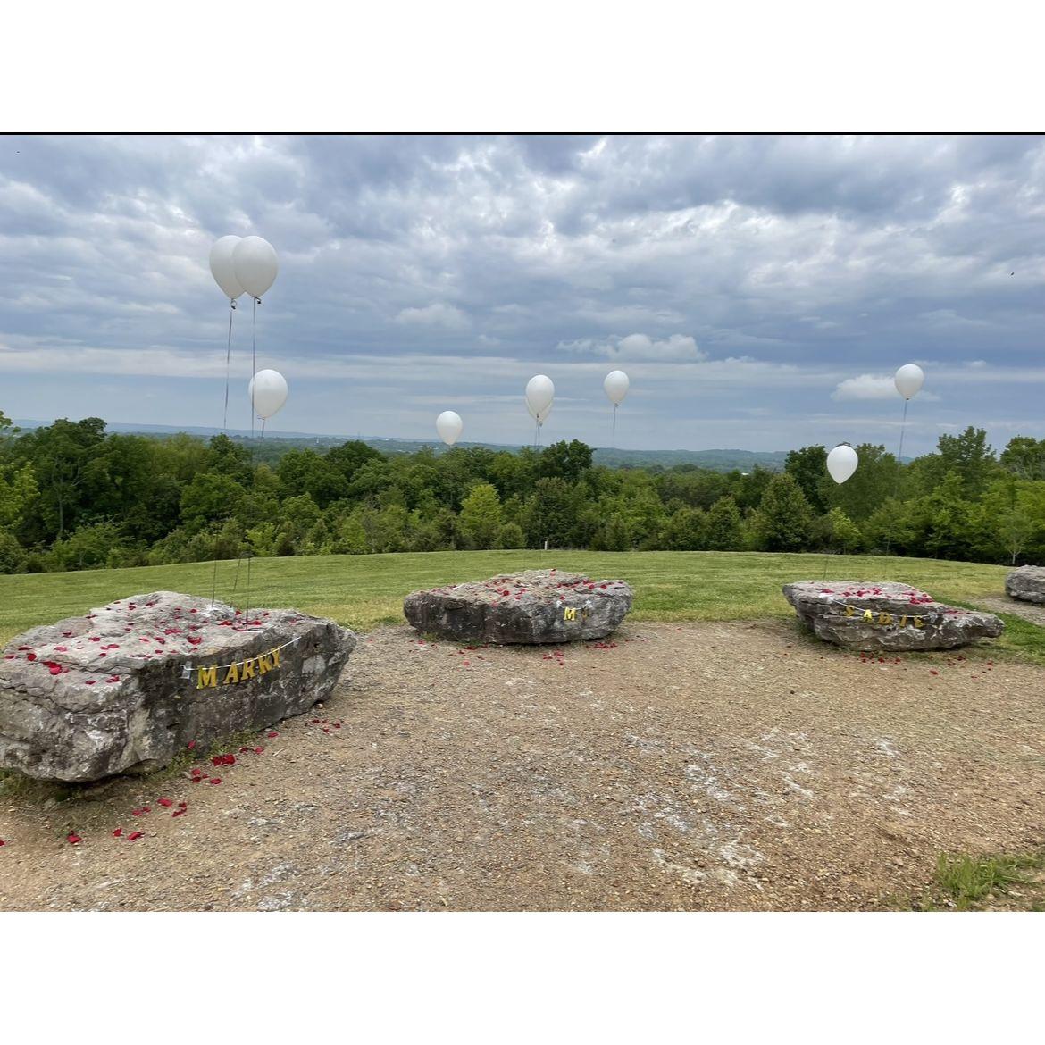 The site where Dontre proposed