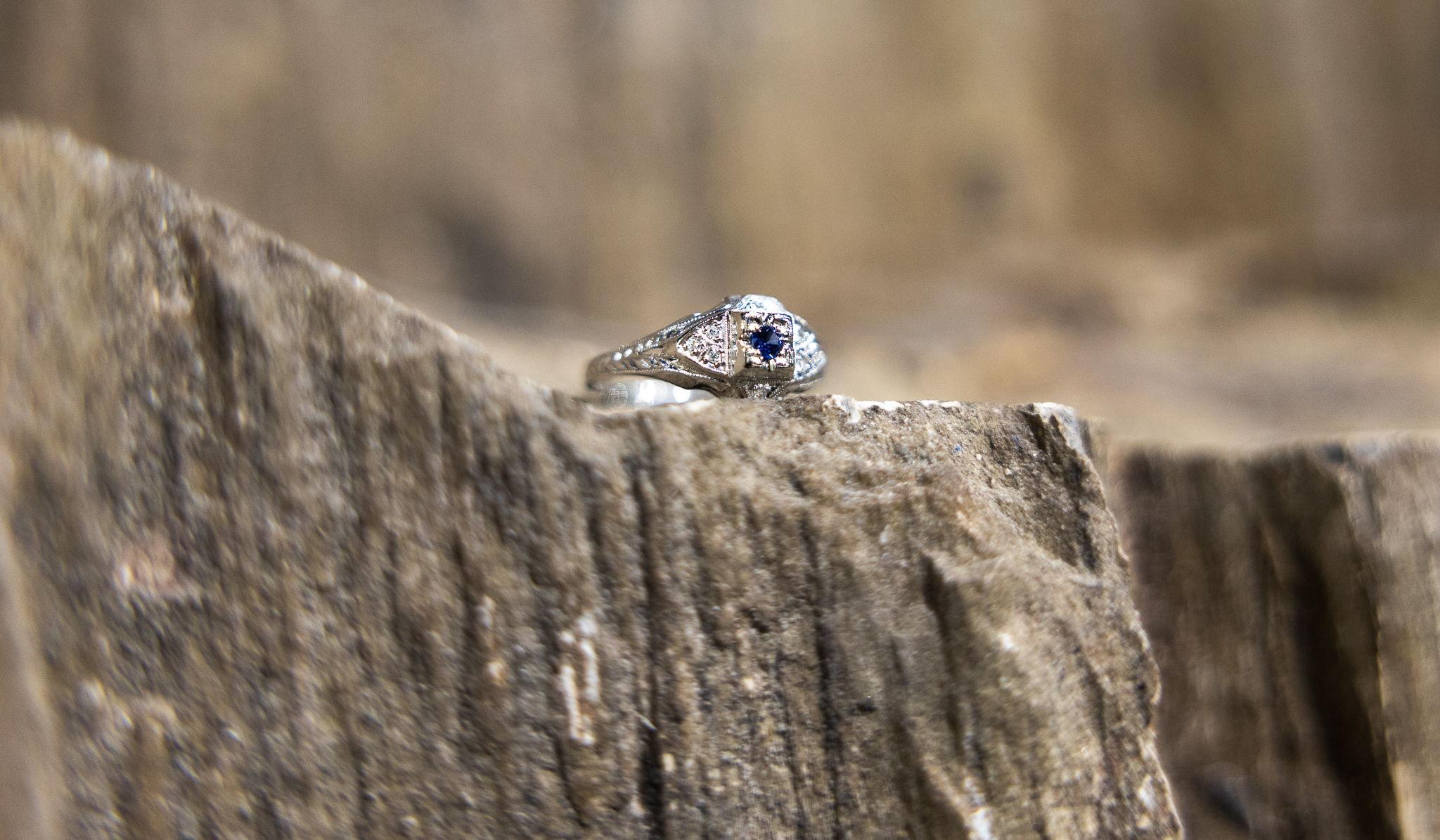 Hero Slideshow Image 0