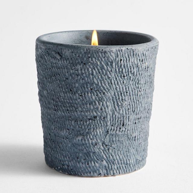 Frasier Scented Candle, Sea Salt & Vetiver Scented Candle, Small - Slate