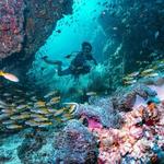 Day 8: Discover the underwater world at Koh Phi Phi
