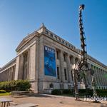 Museum Campus Drive