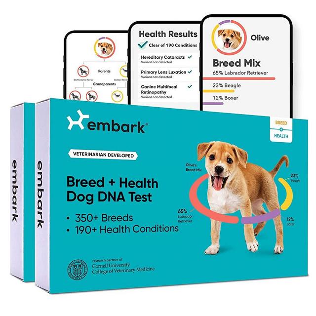 Embark Dog DNA Test Kit | Breed & Genetic Ancestry Discovery | Trait & Health Detection | at-Home Cheek Swab