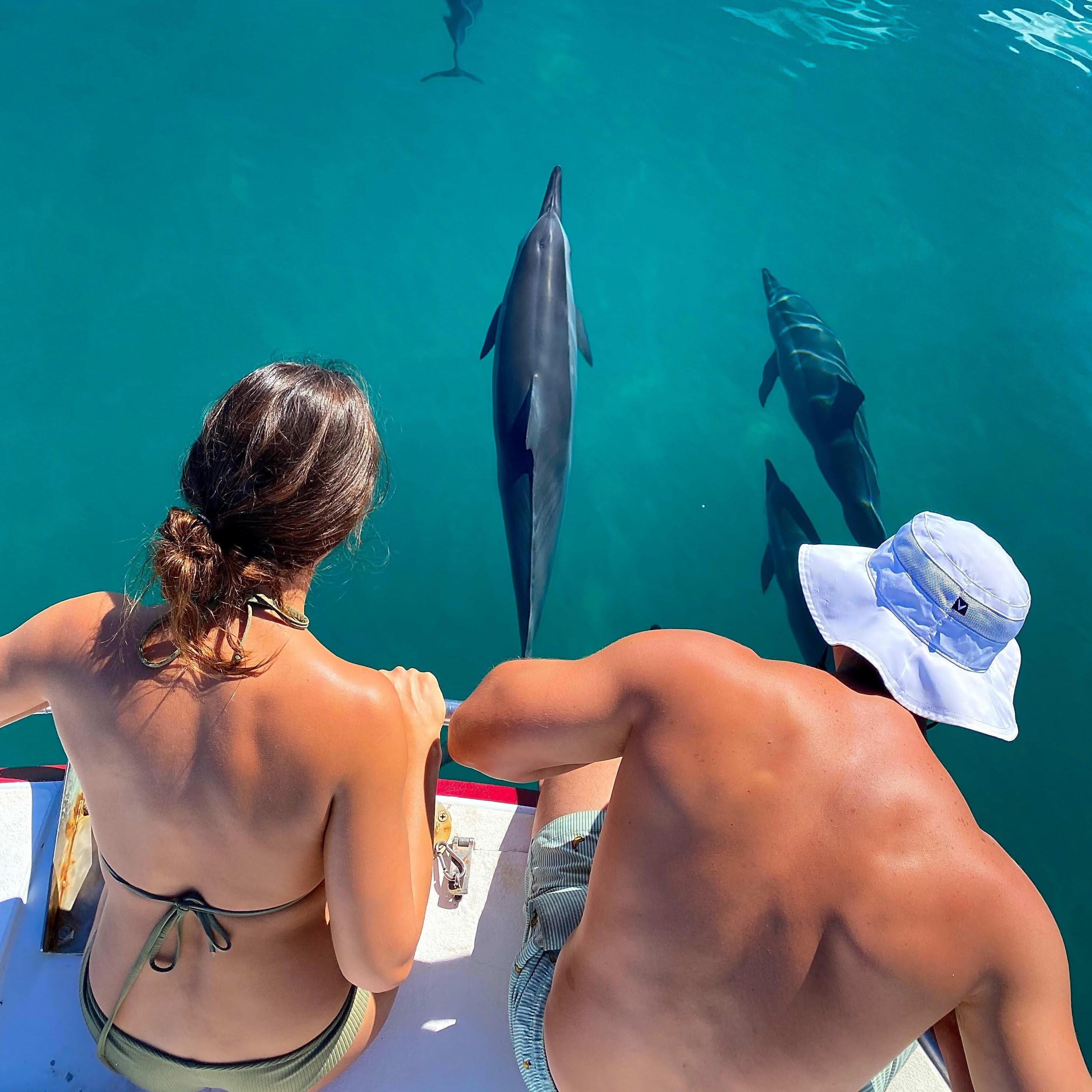 One year anniversary on the Napali Coastline with some aquatic friends.