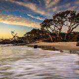 Driftwood Beach