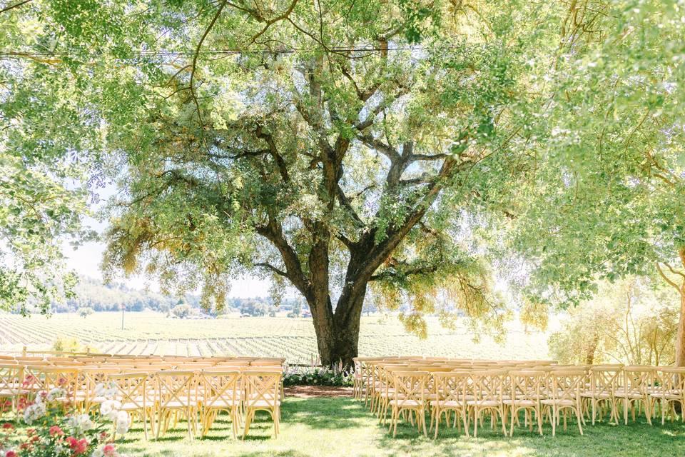 The Wedding Website of Kayla Hohenstein and Joseph Huffman