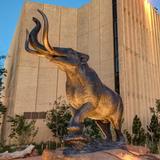 Denver Museum of Nature & Science