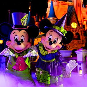 Disney Fund