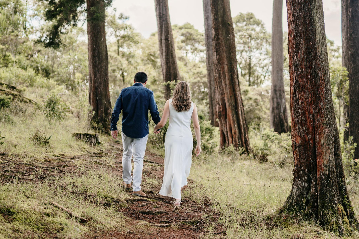 The Wedding Website of Julián Saldarriaga and Susana Escobar