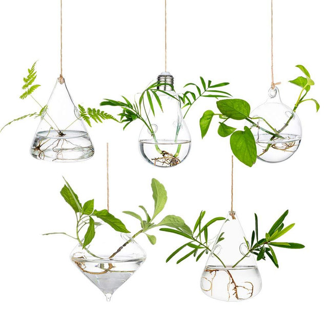 Hanging Glass Planters Terrarium, 5Pcs Glasseam Modern Propagation Stations, Hydroponic Wall Vases for Air Plant, Flowers, Indoor, Window, Home Decor