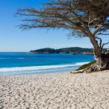 Carmel Beach