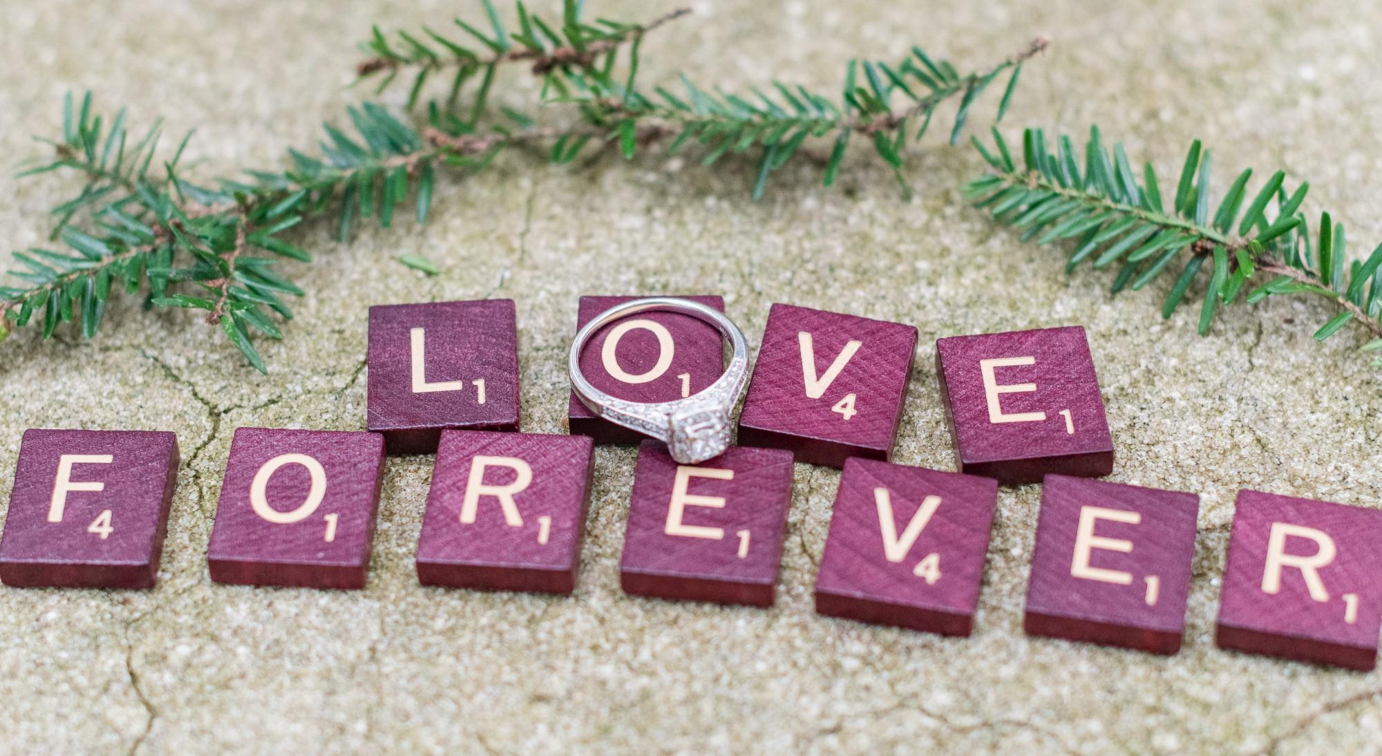 The Wedding Website of Alexis Pennamon and Ronnie Cowins