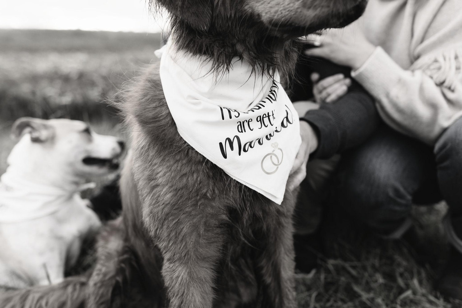 The Wedding Website of Cassie Hewlett and Jerred Siddal