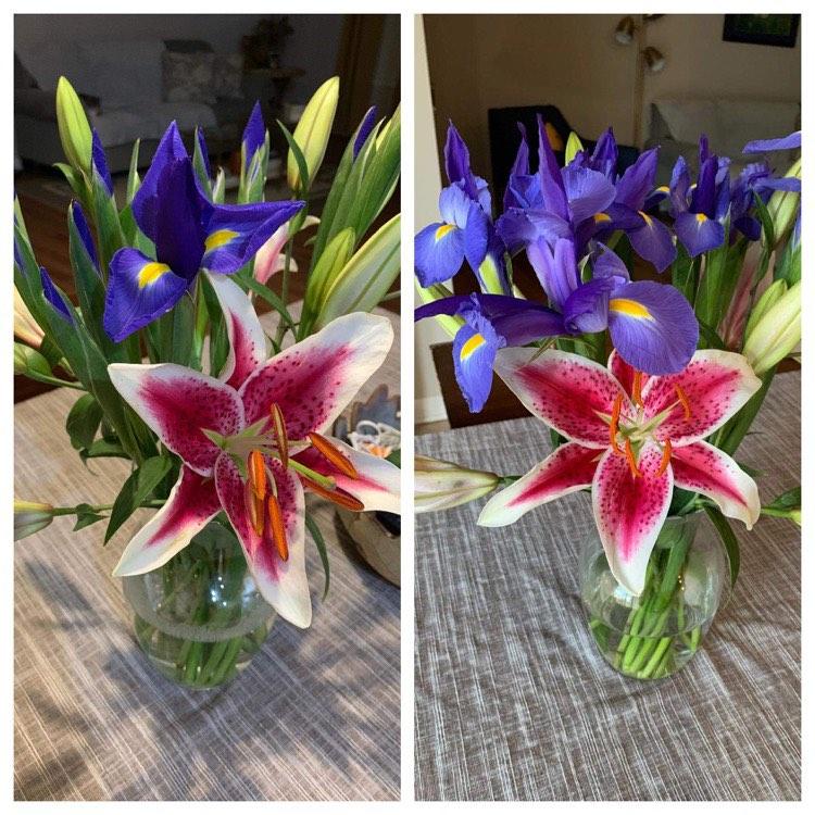 Matt has sent Heather many beautiful bouquets of flowers. This one was her favorite.