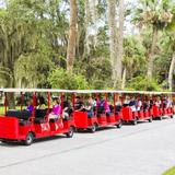 Landmark Trolley Tour