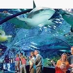 Ripley's Aquarium of Canada