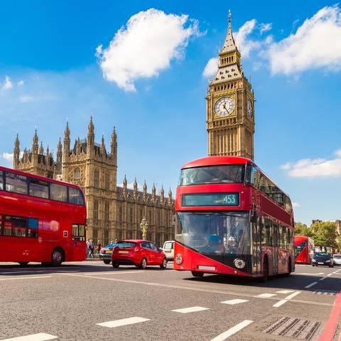 City Tours