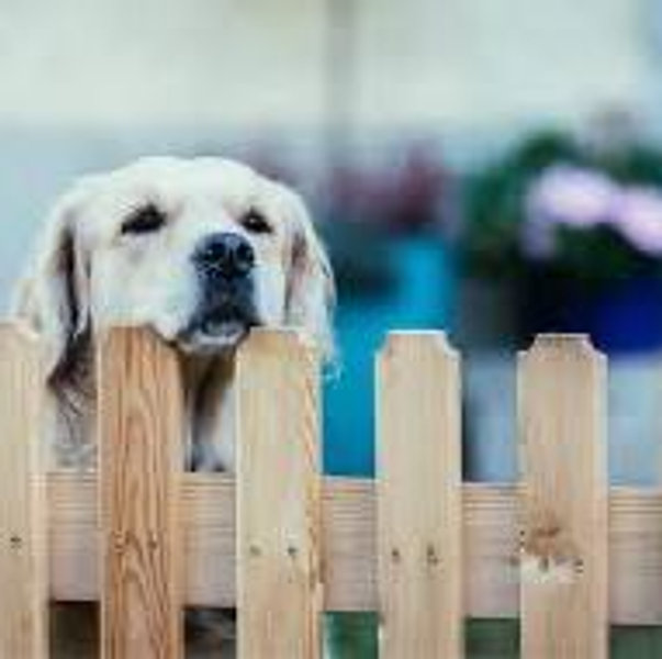 Build a Fence Fund