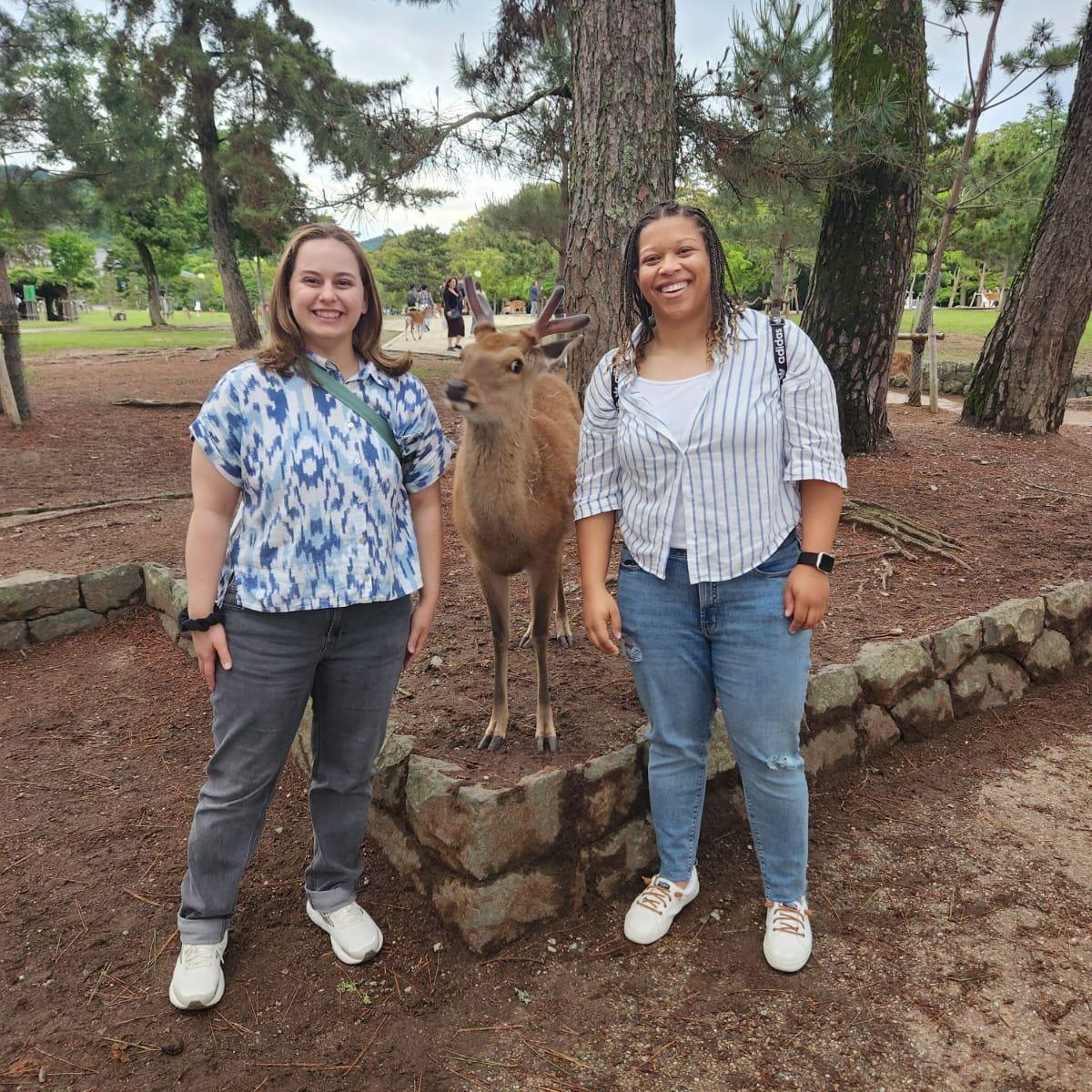 More Deer in Japan, May 2025