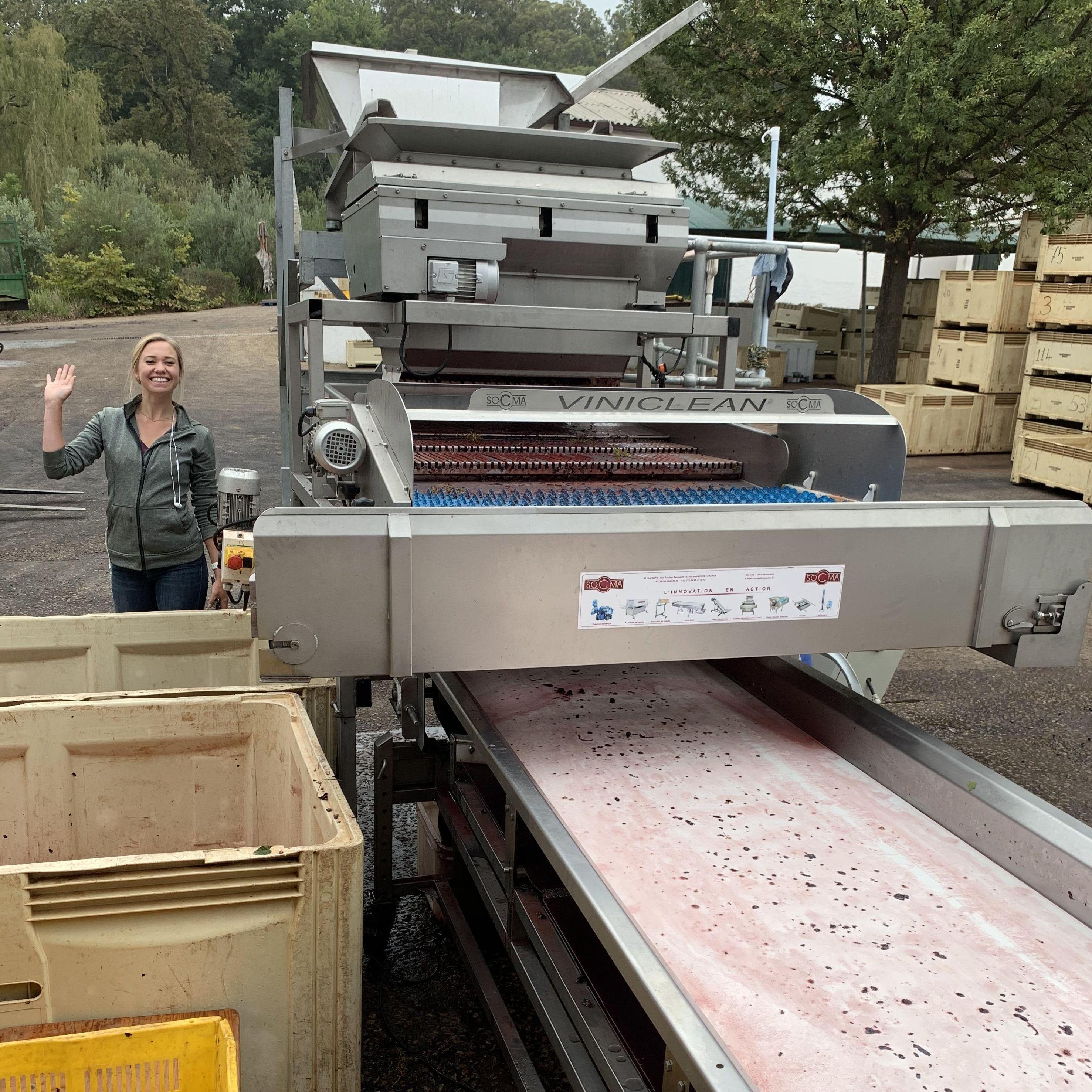 We worked at Rustenberg Winery in Stellenbosch, South Africa
