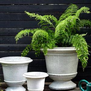 Terrain | Aeros Ceramic Urn