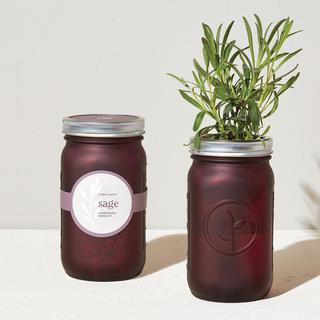 Sage Garden Jar