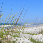 Masonboro Island Reserve