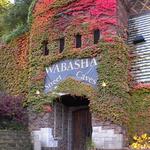 Wabasha Street Caves